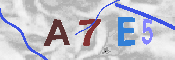 CAPTCHA Image